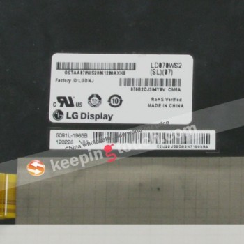 LCD Screen Display Panel For LD070WS2(SL)(07)