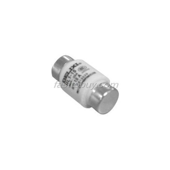 RL1-15 15A Delixi Fuse NEW
