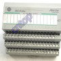 1794-IB8 AB Allen-Bradley PLC Digital DC Input Module 8 Current Sinking 1794 Series Original brand new