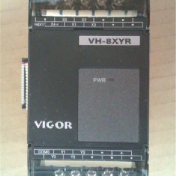 PLC 24VDC 4 DI  4 DO relay VIGOR VH-8XYR Module New