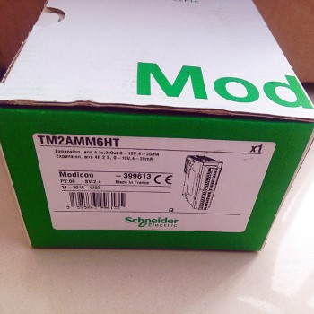 TM2AMM6HT M238 PLC Module 4AI 2AO New