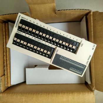 TM2DMM24DRF M238 PLC Module 16DI 8DO New