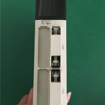 TSXDEY32D2K Schneider PLC Discrete Input Module Modicon Premium 24 VDC Original Brand NEW